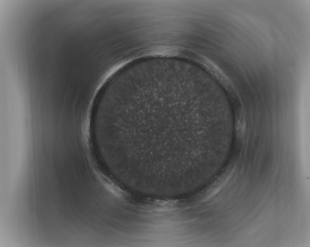 X0000111830484200908061158