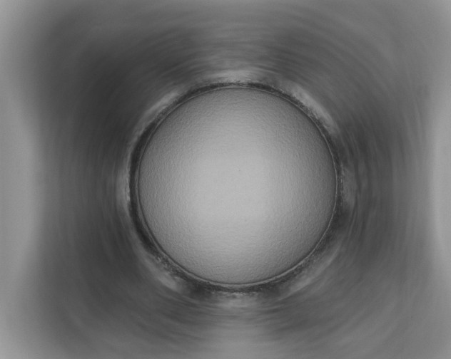 X0000111830486200908061158