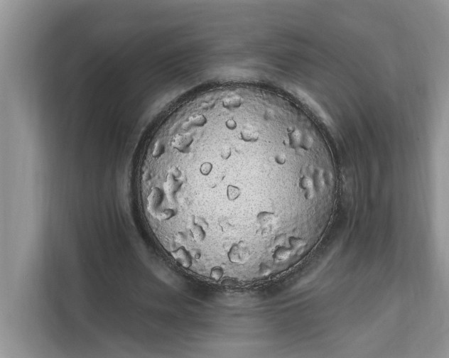 X0000111830487200908061158