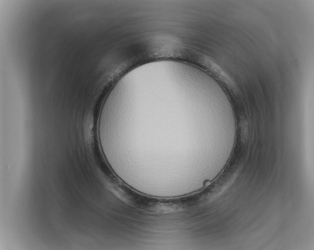 X0000111830490200908061158