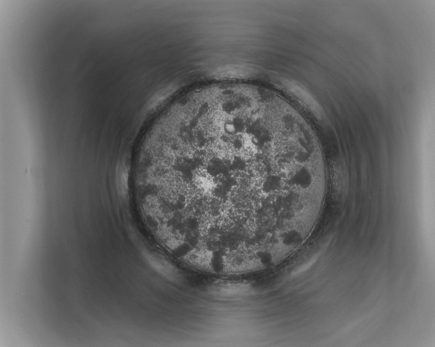 X0000111830491200908061158
