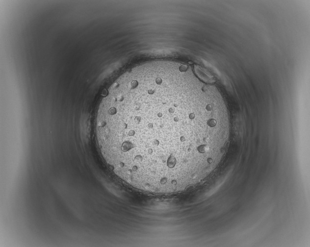 X0000111830495200908061158