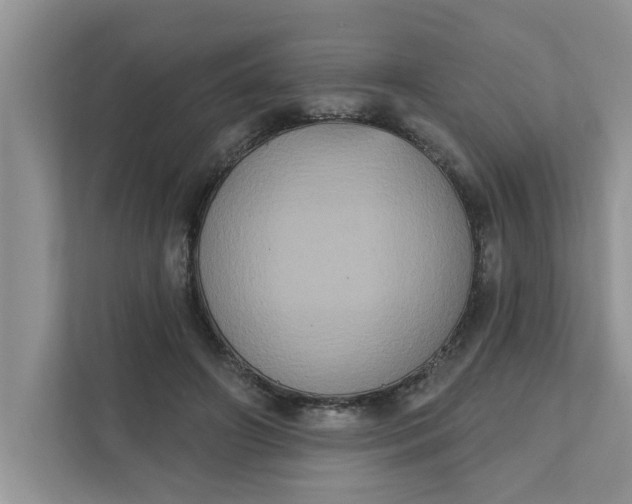 X0000111830498200908061158