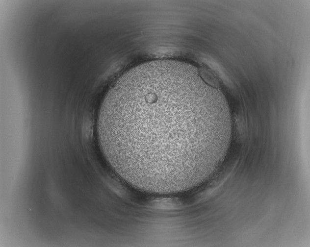 X0000111830499200908061158