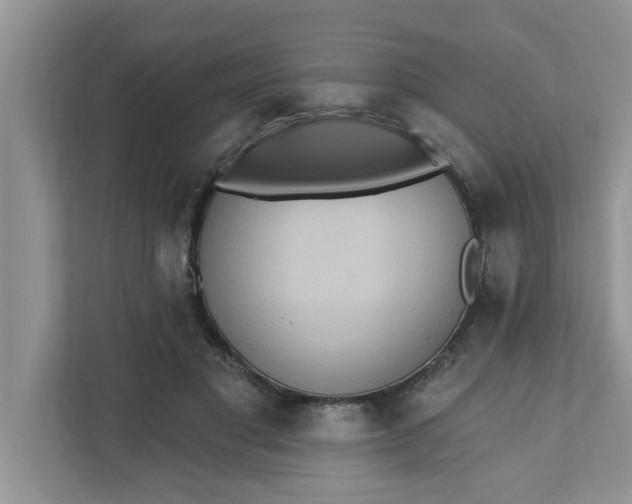 X0000111830501200908061158