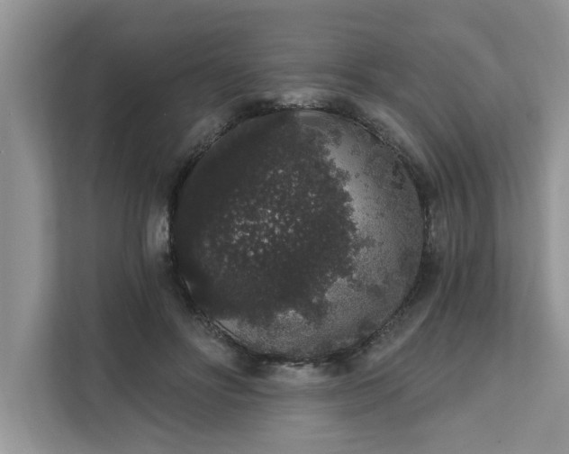 X0000111830502200908061158