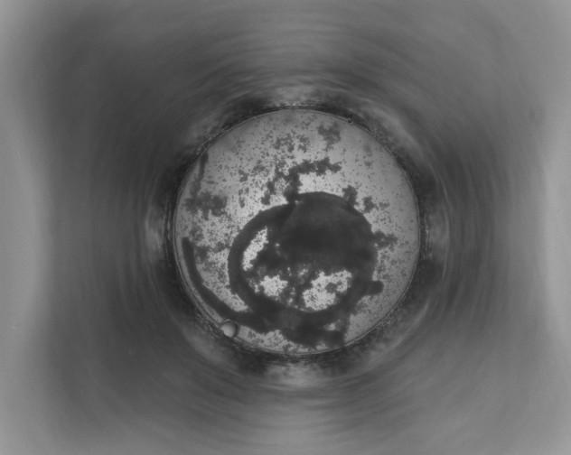 X0000111830503200908061158