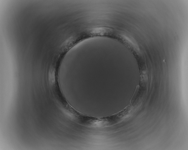 X0000111830504200908061158