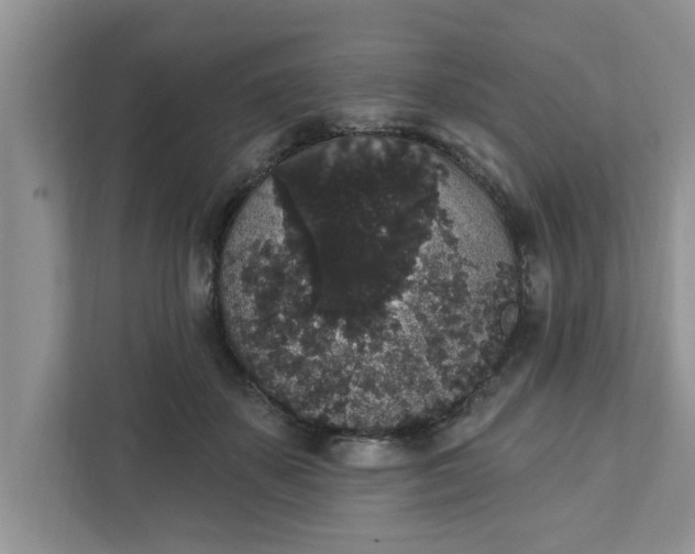 X0000111830507200908061158