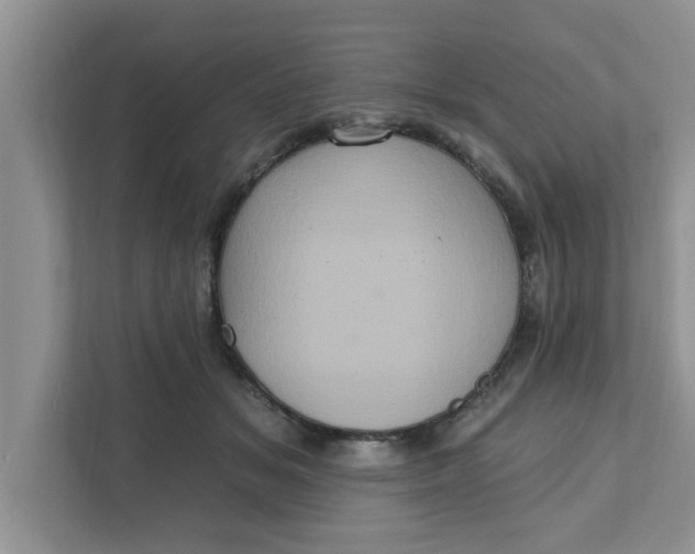 X0000111830509200908061158