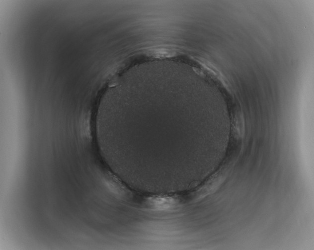 X0000111830512200908061158