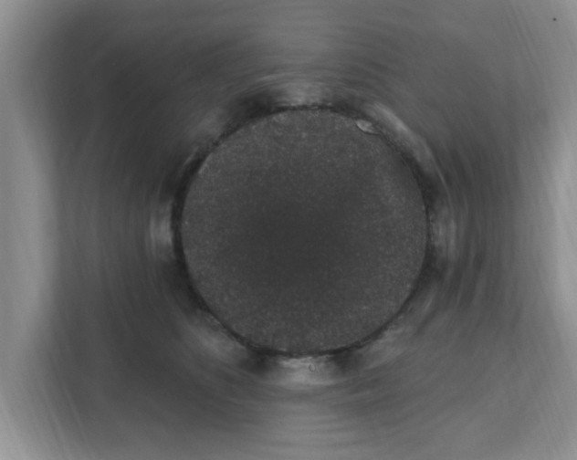 X0000111830516200908061158