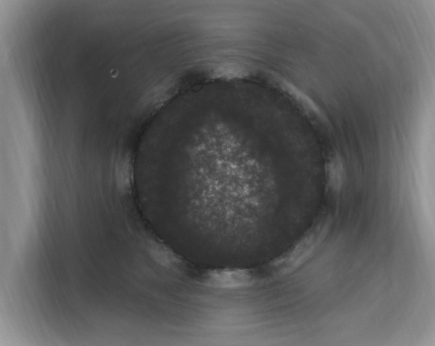 X0000111830517200908061158