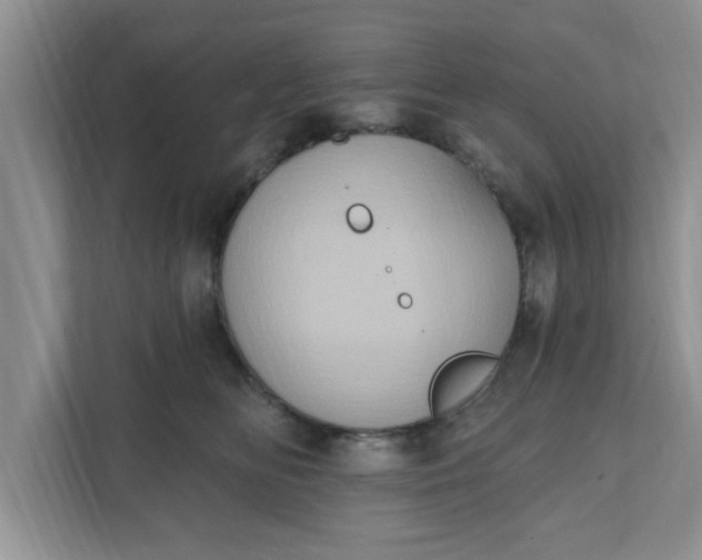 X0000111830518200908061158