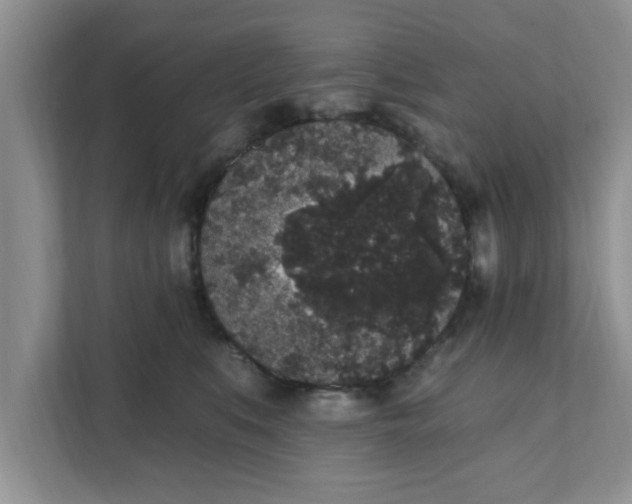 X0000111830519200908061158