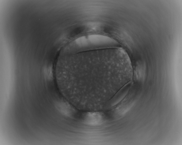 X0000111830520200908061158