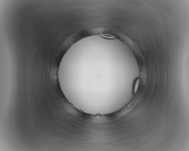 X0000111830525200908061158