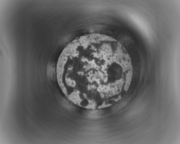 X0000111830527200908061158