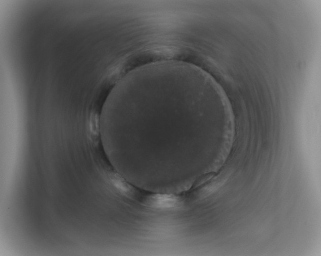 X0000111830528200908061158