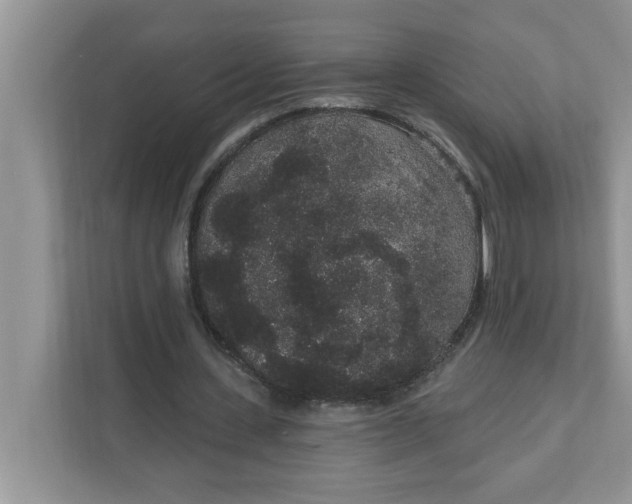 X0000111830531200908061157