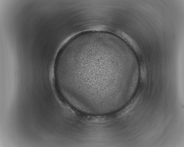 X0000111830532200908061157