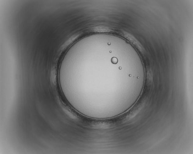 X0000111830533200908061157