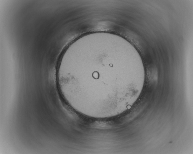 X0000111830534200908061157