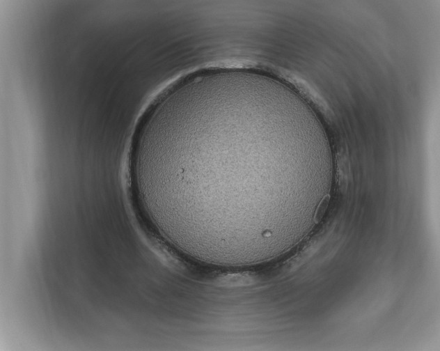 X0000111830536200908061157