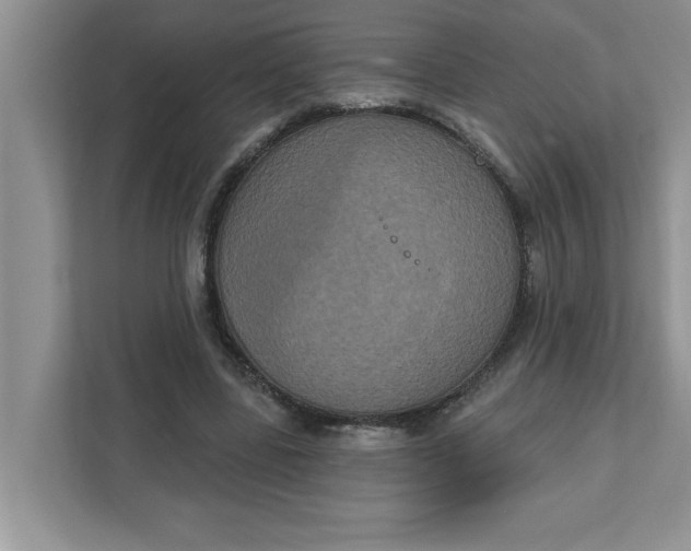 X0000111830539200908061157