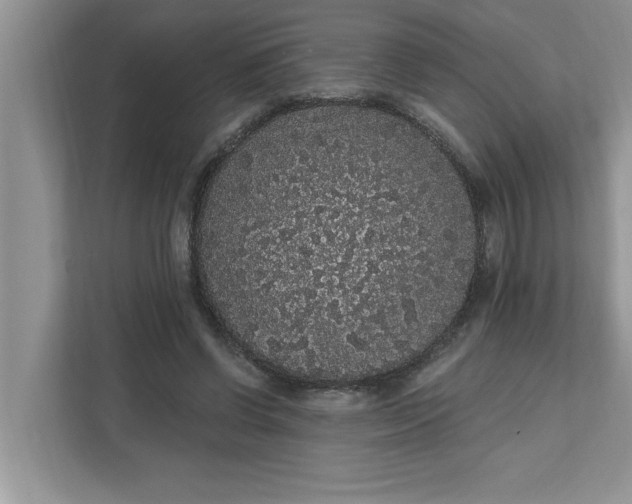 X0000111830542200908061157