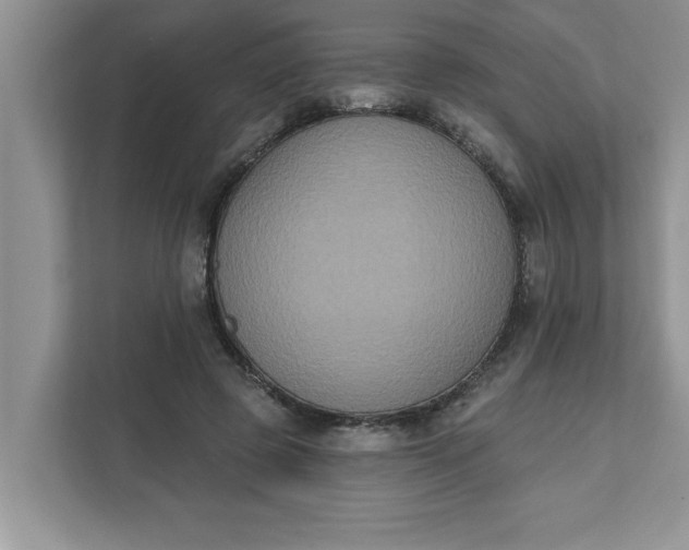 X0000111830545200908061157