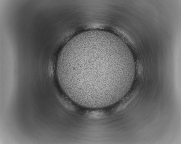 X0000111830546200908061157