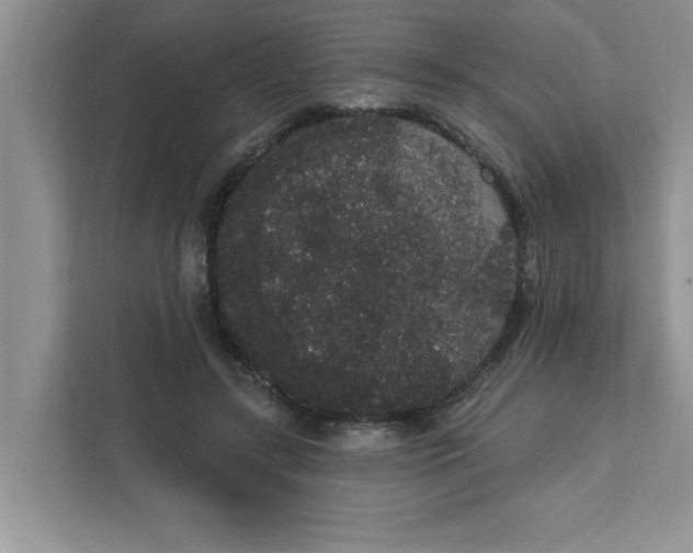 X0000111830547200908061157