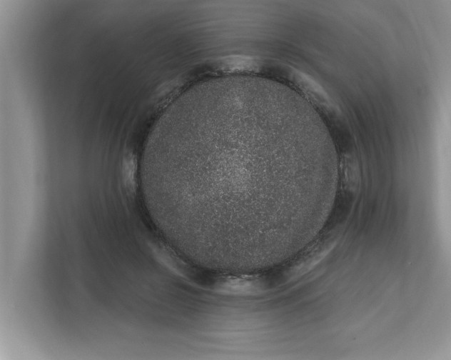 X0000111830550200908061157