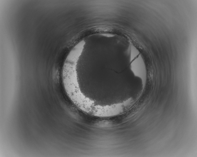 X0000111830551200908061157