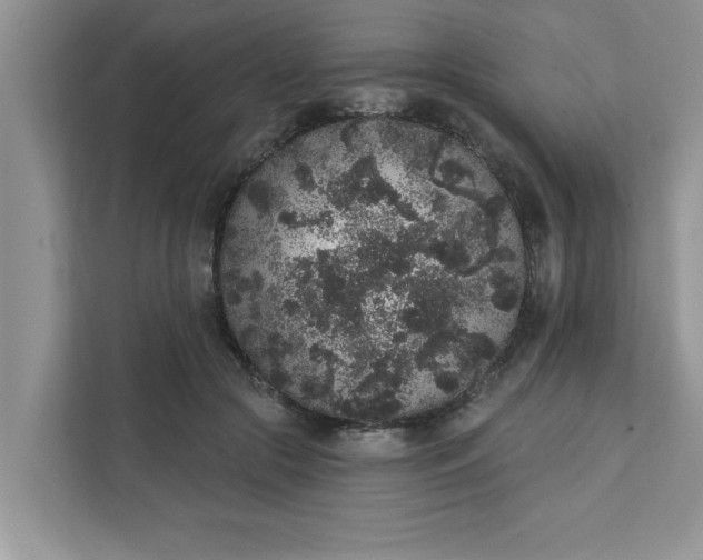 X0000111830553200908061157