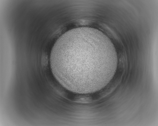 X0000111830555200908061157