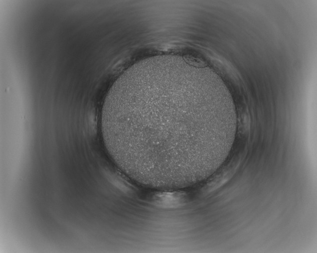 X0000111830558200908061157
