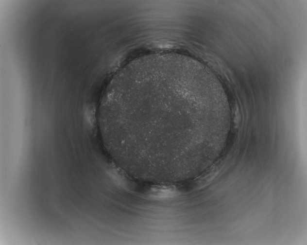 X0000111830559200908061157