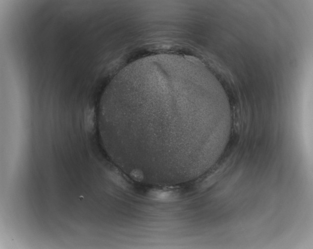 X0000111830563200908061158