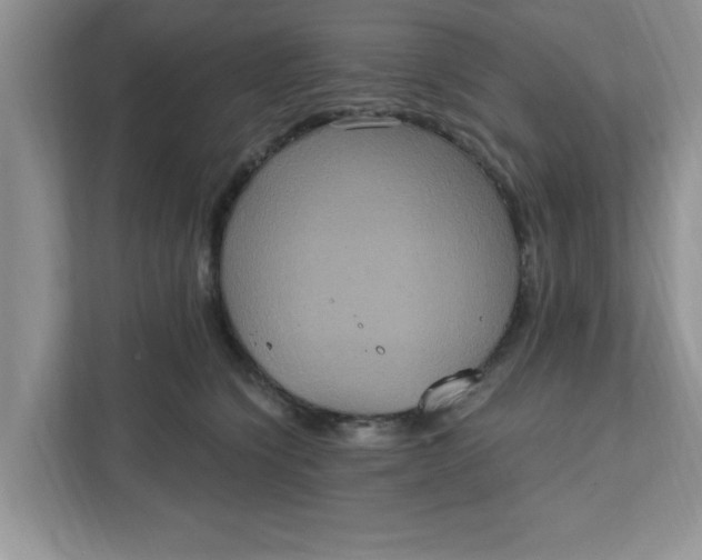 X0000111830564200908061158