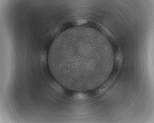 X0000111830565200908061158