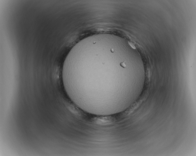 X0000111830567200908061158