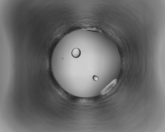 X0000111830568200908061158