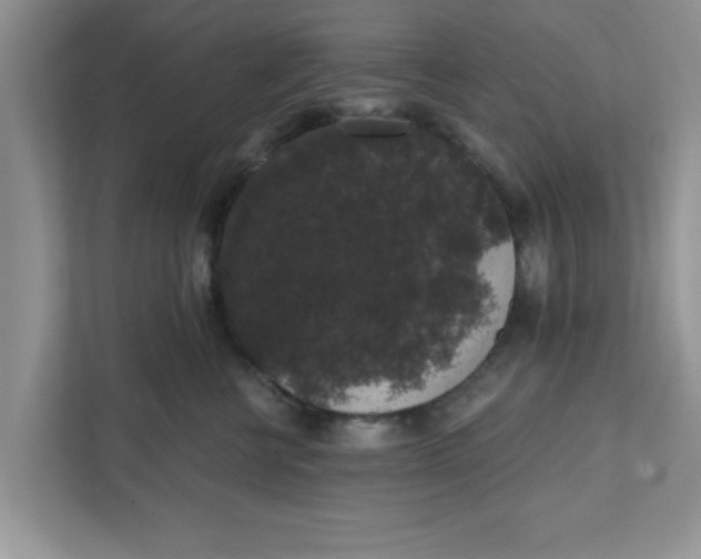X0000111830570200908061158