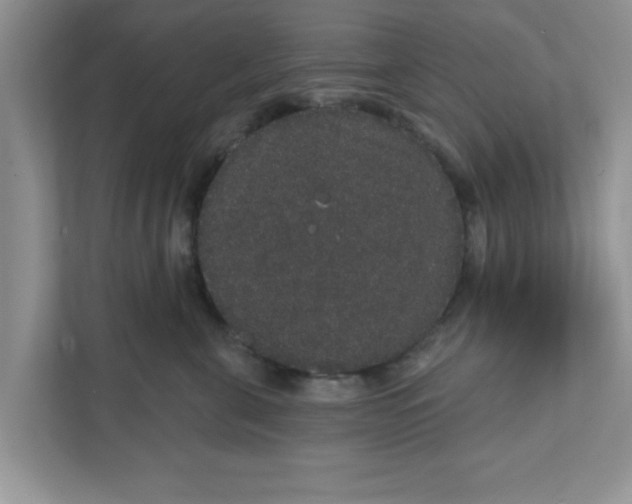 X0000111830571200908061158