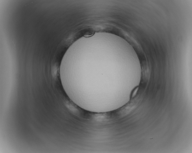 X0000111830574200908061158