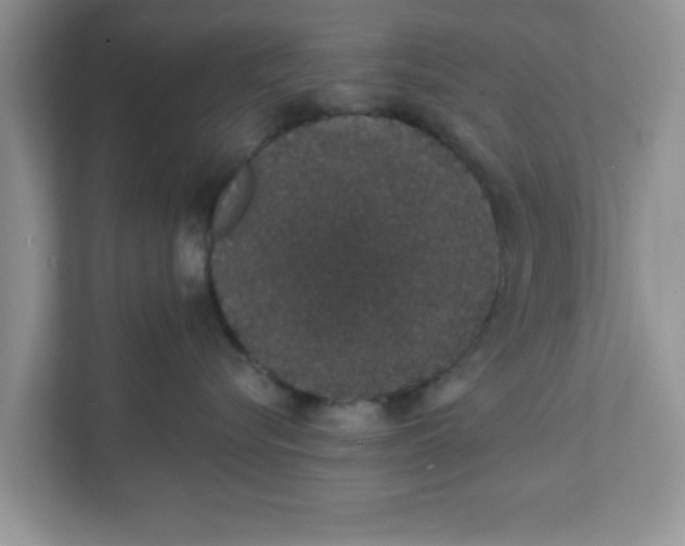 X0000111830576200908061158