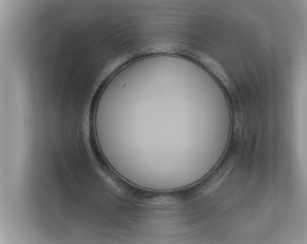 X0000111830578200908061157