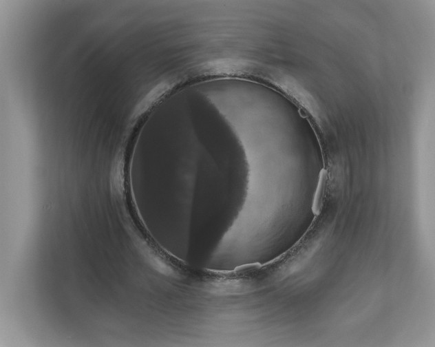 X0000111830581200908061157